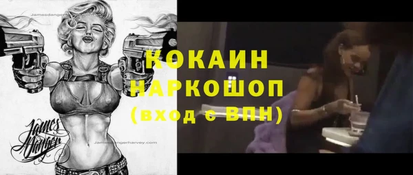 мдпв Михайлов