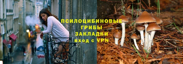 мдпв Михайлов