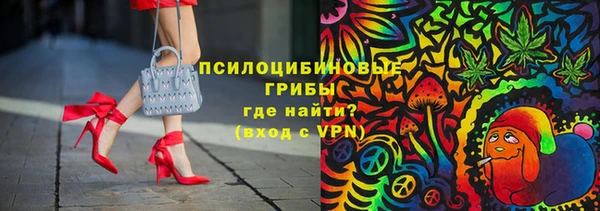 ПСИЛОЦИБИНОВЫЕ ГРИБЫ Инсар